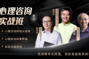 心理咨询实战班